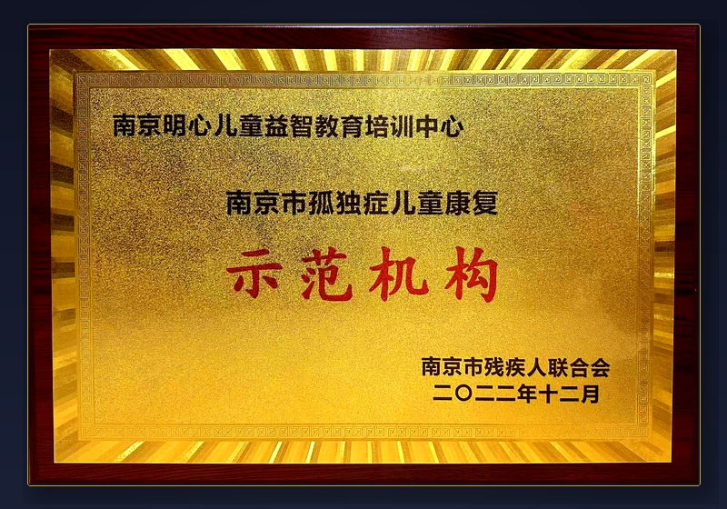 南京市孤独症康复示范机构